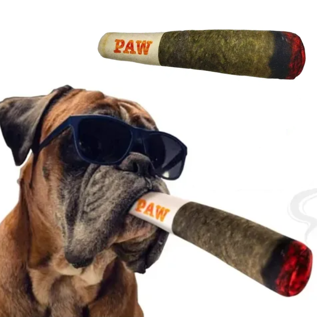 PawRro - el Juguete más Divertido Para tu Perro