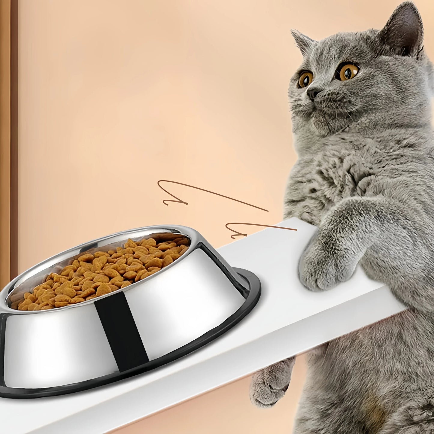Comedero de Acero Inoxidable para Perros/Gatos