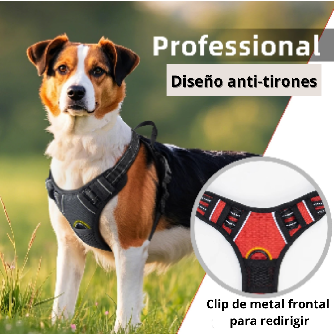 EasyWalk - No-Pull Dog Harness with Reflective Stitching