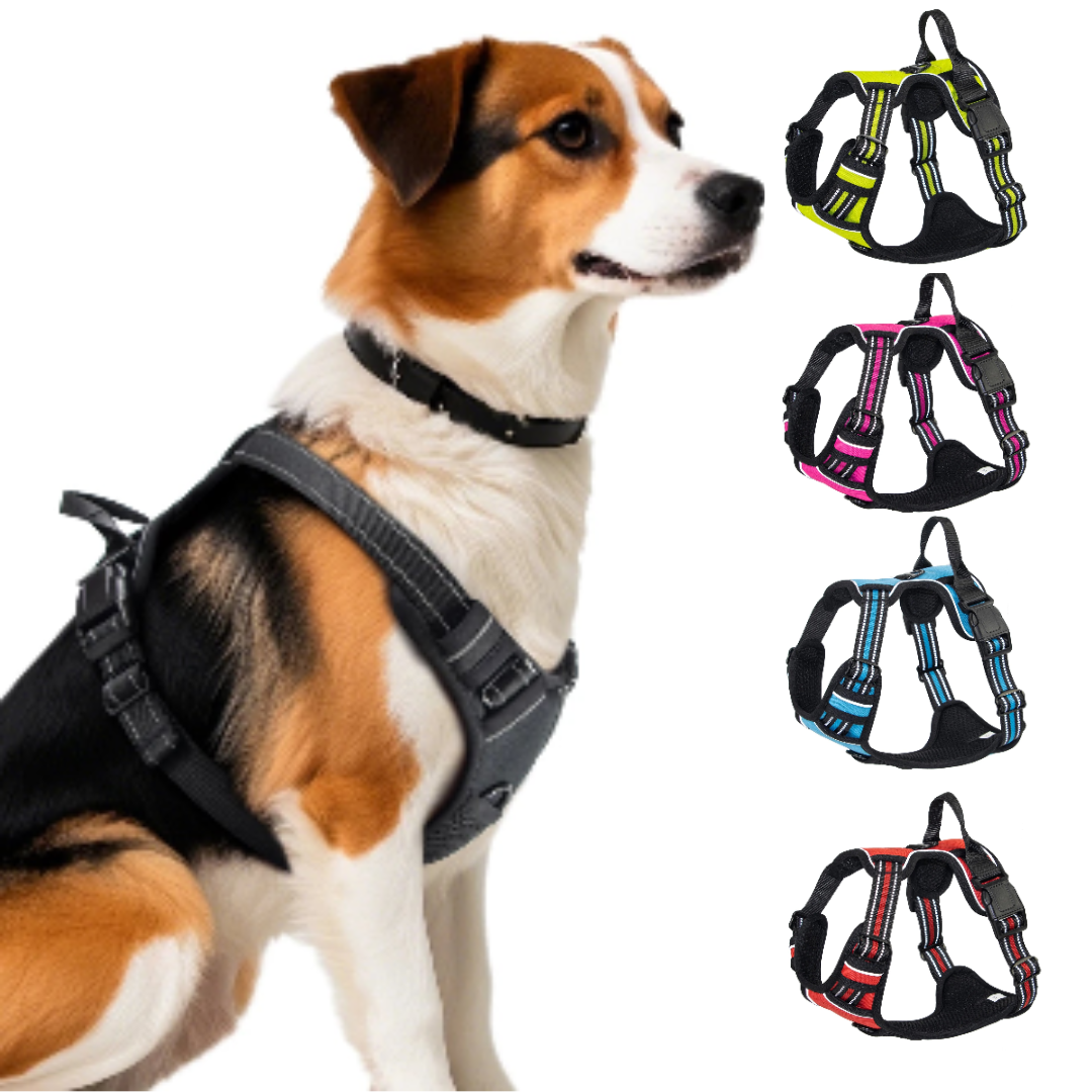 EasyWalk - No-Pull Dog Harness with Reflective Stitching
