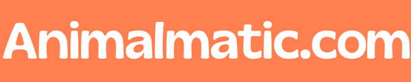 Animalmatic Tienda Online