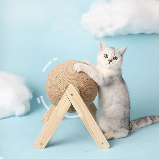 CatBall - Bola Rascadora para Gatos