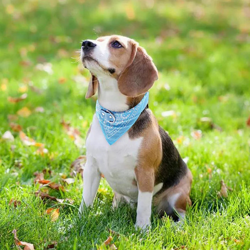Pet Bandana - Collar de Pañuelo para Perors y Gatos