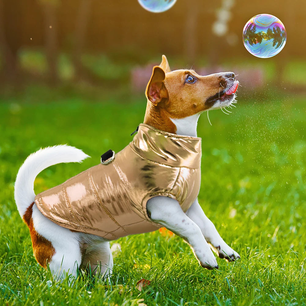 PetDry - Chaleco Impermeable para Mascotas