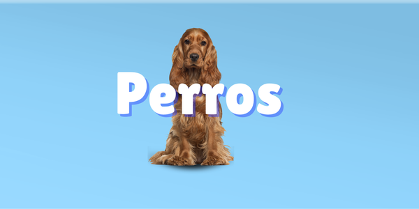 Colección Perros