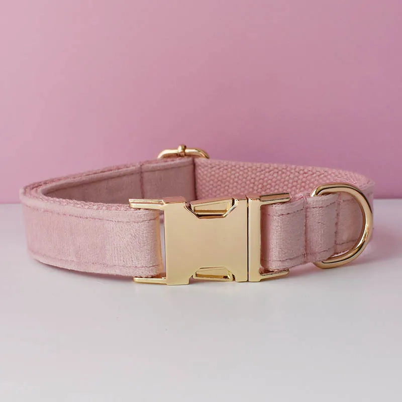 Velvet Collar Free Engrave Dog Collar Leash for Medium Big Pet Necklace Dog Accessories Dog Collars