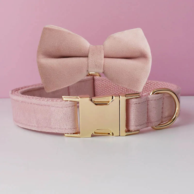 Velvet Collar Free Engrave Dog Collar Leash for Medium Big Pet Necklace Dog Accessories Dog Collars