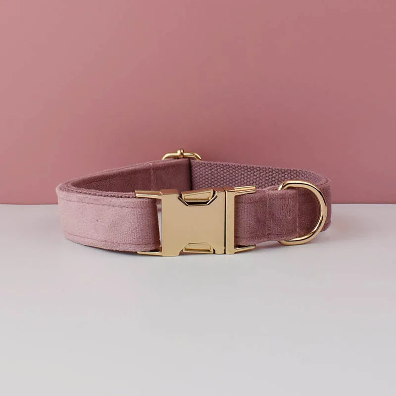 Velvet Collar Free Engrave Dog Collar Leash for Medium Big Pet Necklace Dog Accessories Dog Collars