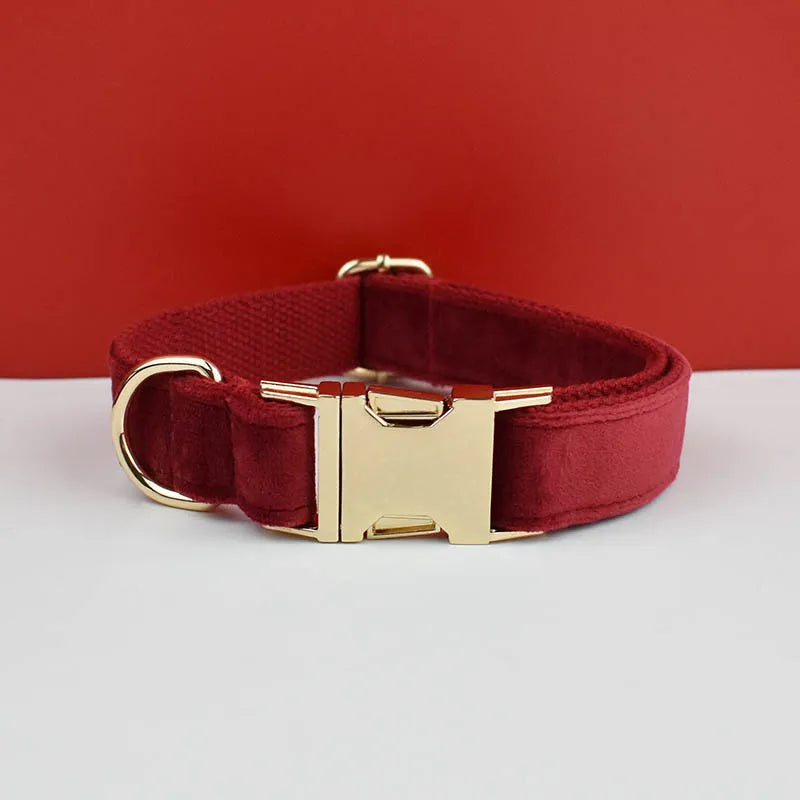 Velvet Collar Free Engrave Dog Collar Leash for Medium Big Pet Necklace Dog Accessories Dog Collars