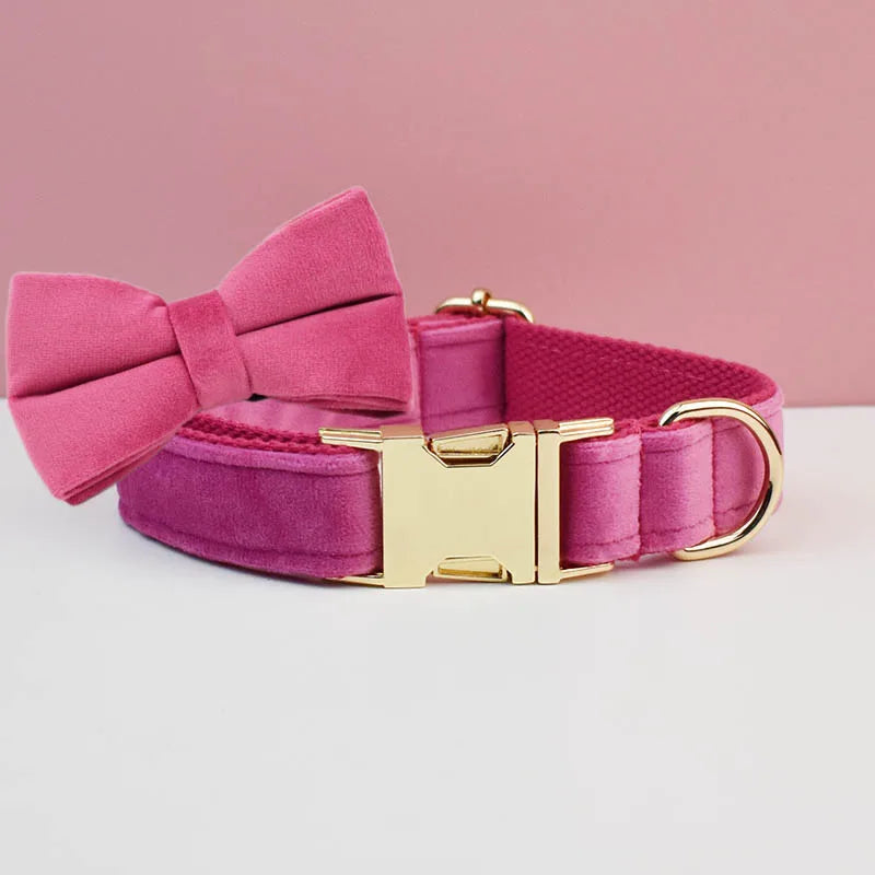 Velvet Collar Free Engrave Dog Collar Leash for Medium Big Pet Necklace Dog Accessories Dog Collars