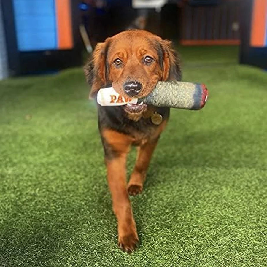 PawRro -  el Juguete más Divertido Para tu Perro