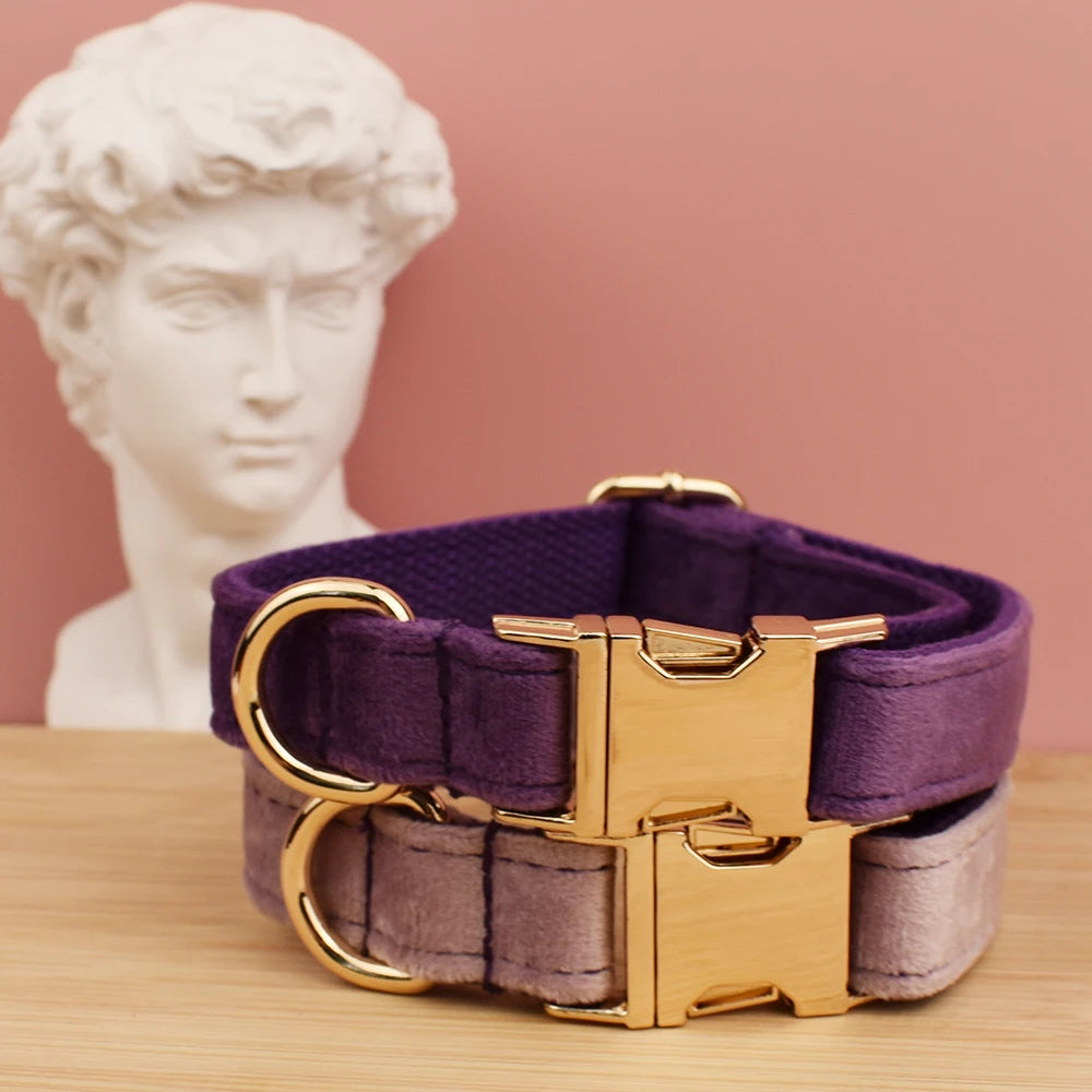 Velvet Collar Free Engrave Dog Collar Leash for Medium Big Pet Necklace Dog Accessories Dog Collars