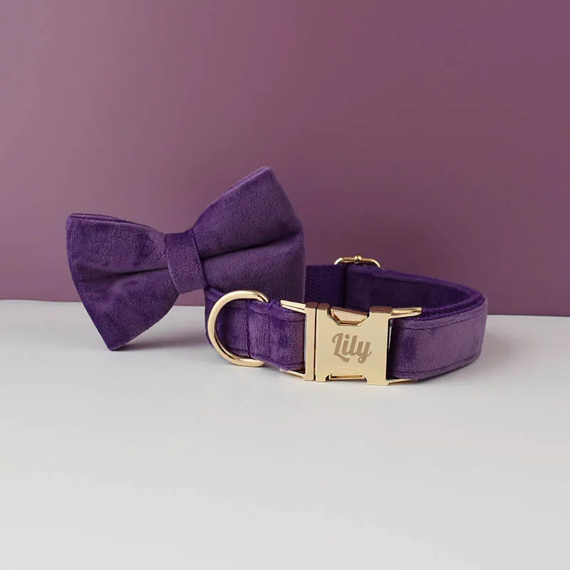 Velvet Collar Free Engrave Dog Collar Leash for Medium Big Pet Necklace Dog Accessories Dog Collars