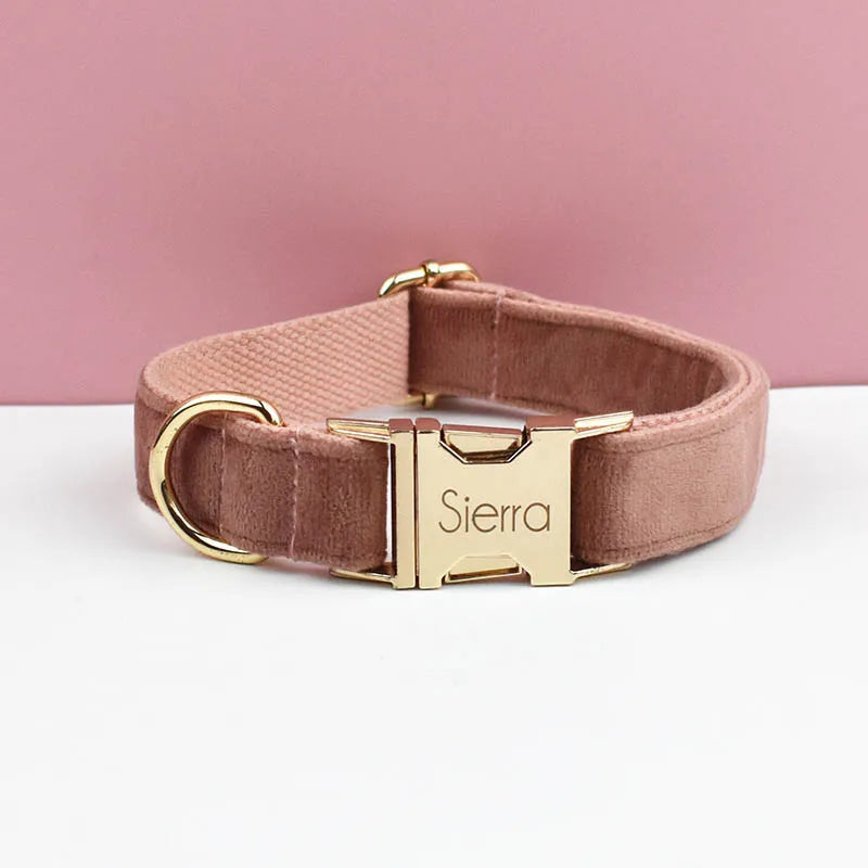 Velvet Collar Free Engrave Dog Collar Leash for Medium Big Pet Necklace Dog Accessories Dog Collars