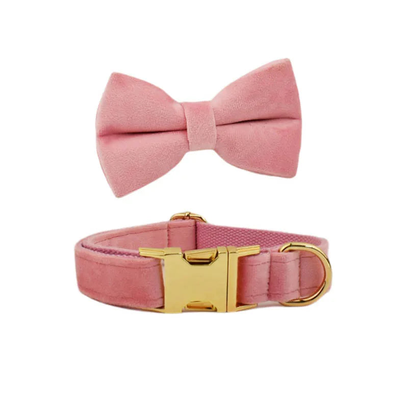 Velvet Collar Free Engrave Dog Collar Leash for Medium Big Pet Necklace Dog Accessories Dog Collars