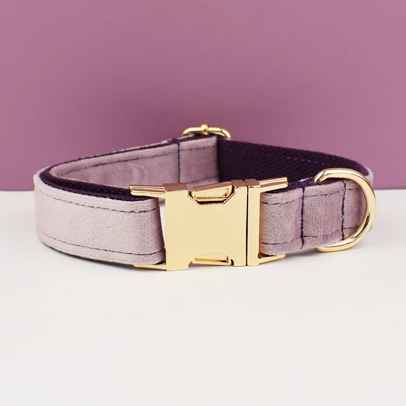 Velvet Collar Free Engrave Dog Collar Leash for Medium Big Pet Necklace Dog Accessories Dog Collars