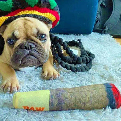 PawRro -  el Juguete más Divertido Para tu Perro